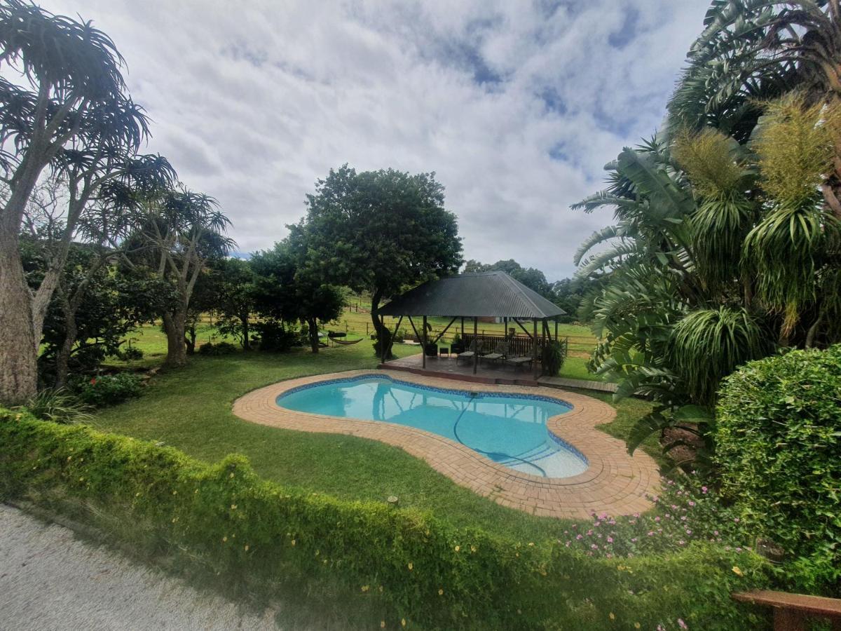 Milkwood Country House Port Elizabeth Dış mekan fotoğraf